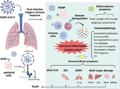 Inflammatory pathways in COVID-19: Mechanism and therapeutic interventions