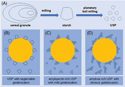 Ultrafine Starch Particles as Pickering Emulsion Stabilizers With Different Interfacial Behaviors