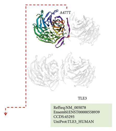 Details are in the caption following the image Details are in the caption following the image