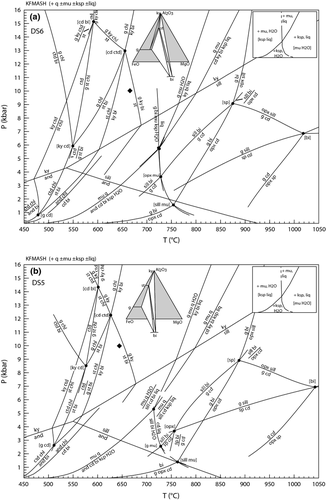 Details are in the caption following the image
