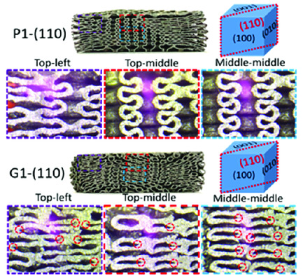 Energy Absorption and Deformation Behavior of 3D Printed Triply Periodic Minimal Surface Stainless Steel Cellular Structures under Compression