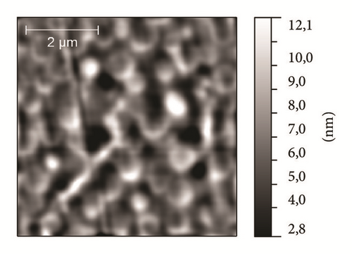Details are in the caption following the image
