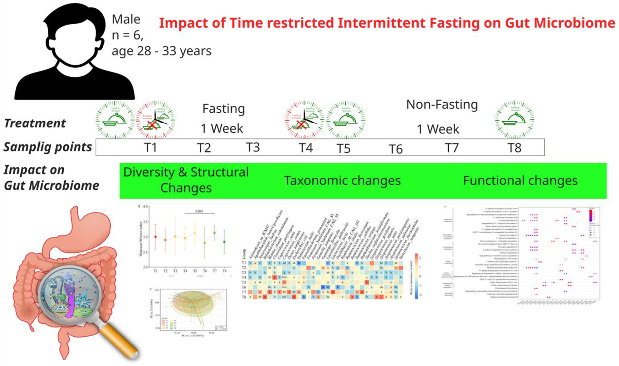 Remodeling of Gut Microbiome of Pakistani Expats in China After Ramadan Fasting
