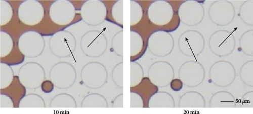 Details are in the caption following the image Details are in the caption following the image