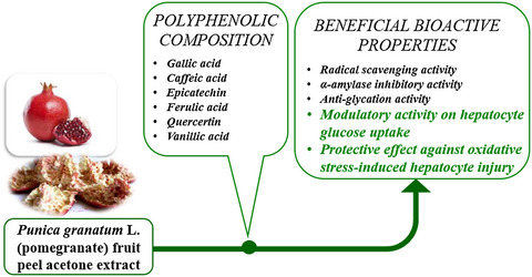 Evaluation of the in vitro ⍺-amylase inhibitory, antiglycation, and antioxidant properties of Punica granatum L. (pomegranate) fruit peel acetone extract and its effect on glucose uptake and oxidative stress in hepatocytes