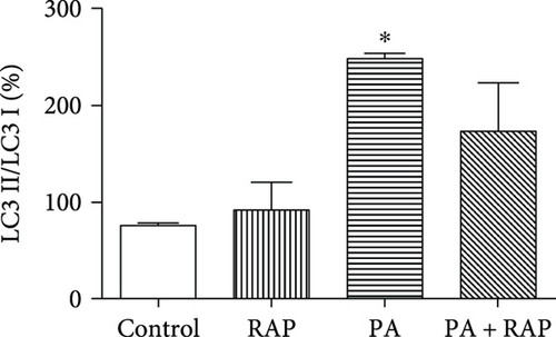 Details are in the caption following the image