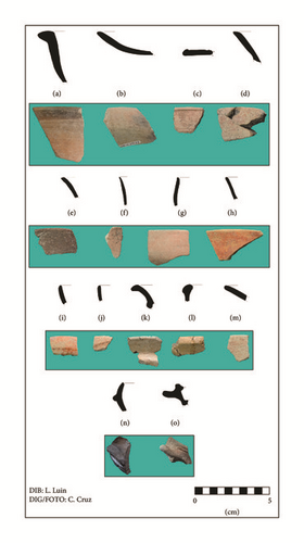 Details are in the caption following the image Details are in the caption following the image