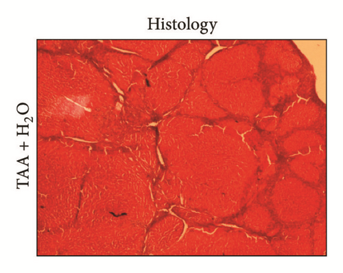 Details are in the caption following the image