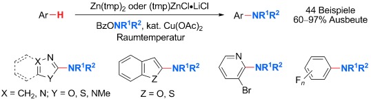 Copper-Catalyzed Electrophilic Amination of Heteroarenes and Arenes by C<span class='icomoon'></span>H Zincation