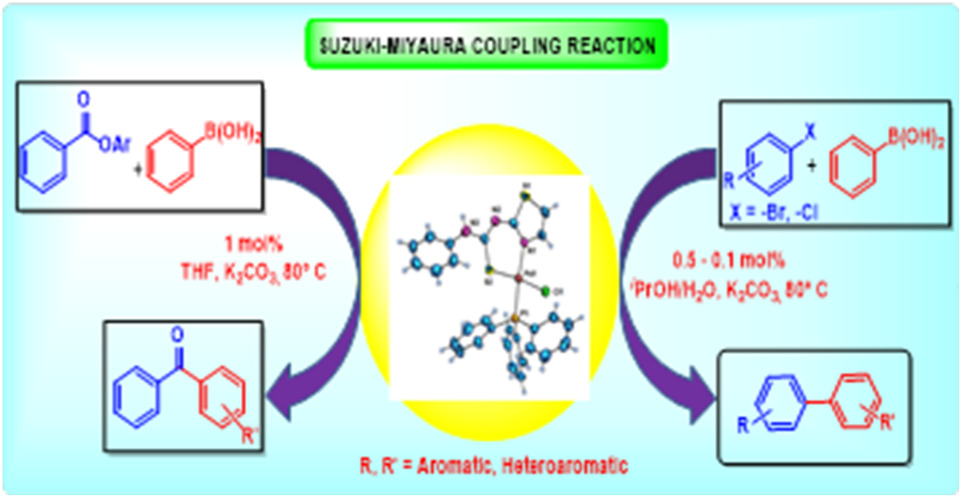 Efficient construction of C–C bonds from aryl halides/aryl esters with arylboronic acids catalysed by palladium(II) thiourea complexes