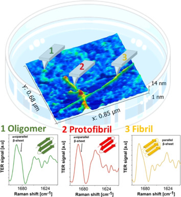 Nanoscale Hyperspectral Imaging of Amyloid Secondary Structures in Liquid