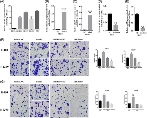 Details are in the caption following the image Details are in the caption following the image