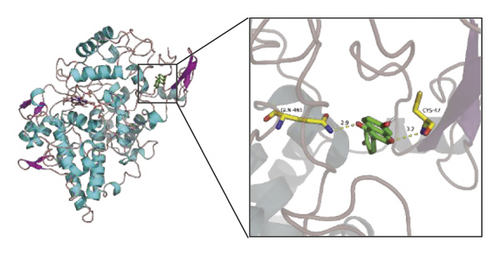 Details are in the caption following the image Details are in the caption following the image