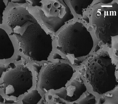 Effect of Citric Acid and Sodium Chloride on Characteristics of Sunflower Seed Shell-Derived Activated Carbon