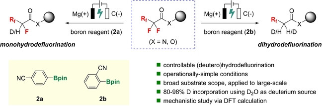 Organoboron Reagent-Controlled Selective (Deutero)Hydrodefluorination