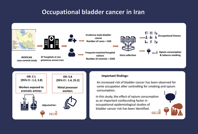 Bladder cancer risk in relation to occupations held in a nationwide case-control study in Iran