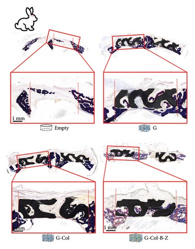 Details are in the caption following the image