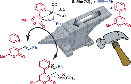 Manganese(I)-Catalyzed C−H Activation: The Key Role of a 7-Membered Manganacycle in H-Transfer and Reductive Elimination