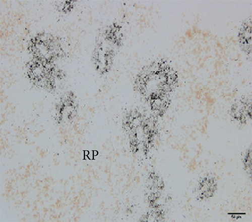 Details are in the caption following the image