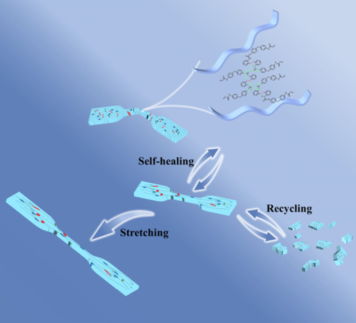 Design and properties of dynamic self-healing polyurea molecule based on disulfide bonds