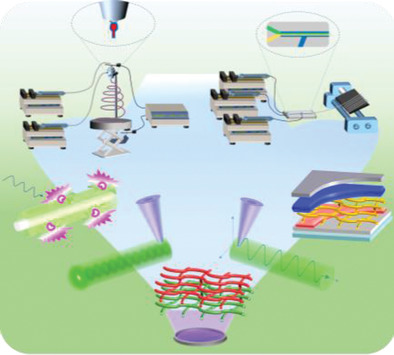 Nano–Micro Dimensional Structures of Fiber-Shaped Luminous Halide Perovskite Composites for Photonic and Optoelectronic Applications