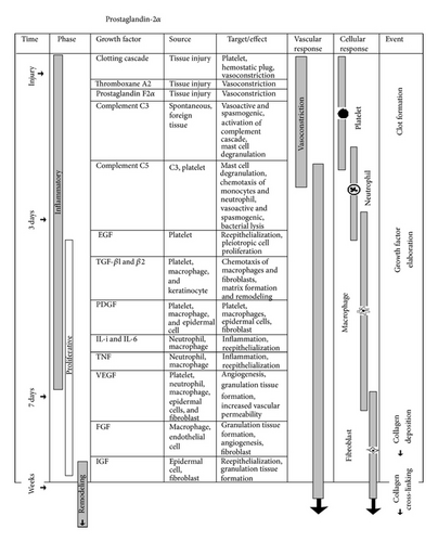 Details are in the caption following the image