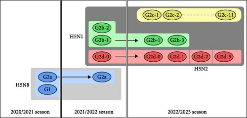 Details are in the caption following the image Details are in the caption following the image