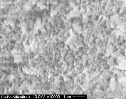 Selective Oxidation of Methane with Hydrogen Peroxide Towards Formic Acid in a Micro Fixed-Bed Reactor