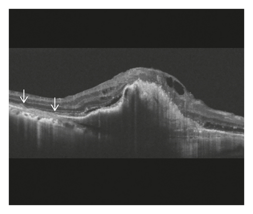 Details are in the caption following the image Details are in the caption following the image