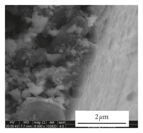 Details are in the caption following the image