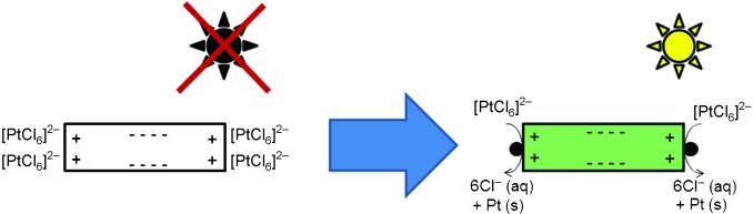 Sorption-Determined Deposition of Platinum on Well-Defined Platelike WO3