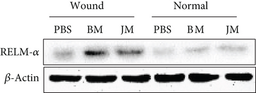 Details are in the caption following the image