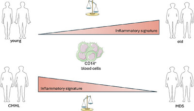 Characterization of the Molecular Signature of Human Monocytes in Aging and Myelodysplastic Neoplasms