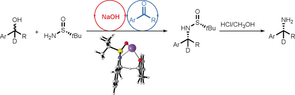 Transition-Metal-Free Hydrogen Autotransfer: Diastereoselective N-Alkylation of Amines with Racemic Alcohols