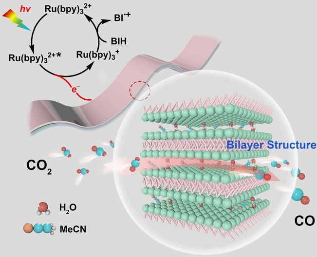 Enhanced Photocatalytic CO2 Reduction through Hydrophobic Microenvironment and Binuclear Cobalt Synergistic Effect in Metallogels