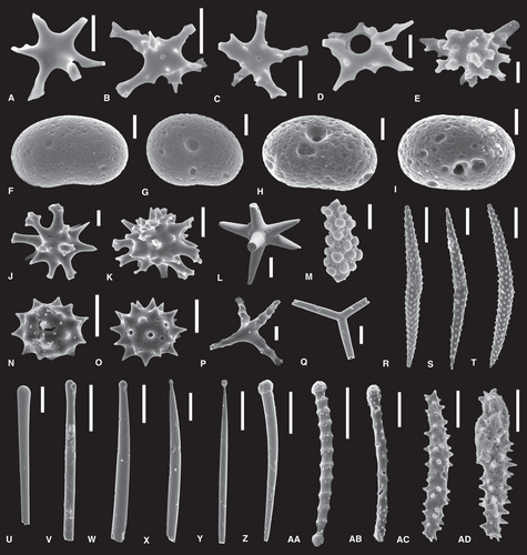 Details are in the caption following the image Details are in the caption following the image