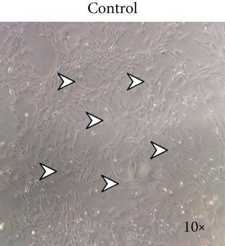 Details are in the caption following the image