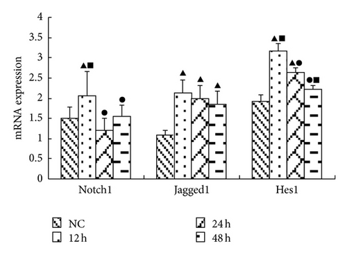 Details are in the caption following the image