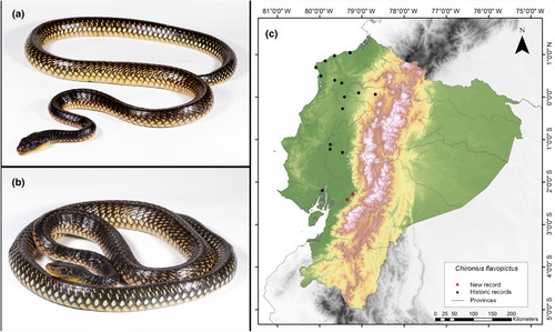 Details are in the caption following the image