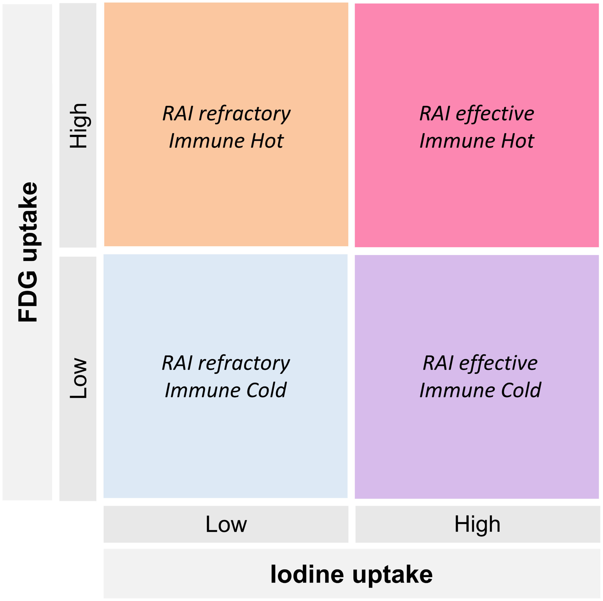 FDG uptake reflects an immune-enriched subtype of thyroid cancer: Clinical implications of imaging-based molecular characterization