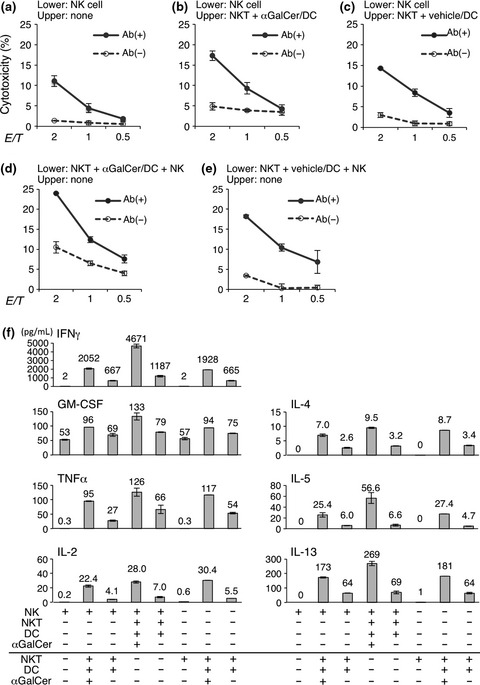 Antibody-dependent cellular cytotoxicity toward neuroblastoma enhanced by activated invariant natural killer T cells