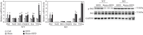 Details are in the caption following the image