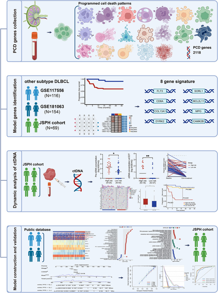 Revealing the heterogeneity of treatment resistance in less-defined subtype diffuse large B cell lymphoma patients by integrating programmed cell death patterns and liquid biopsy