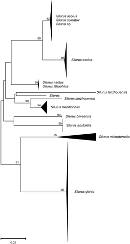 Details are in the caption following the image