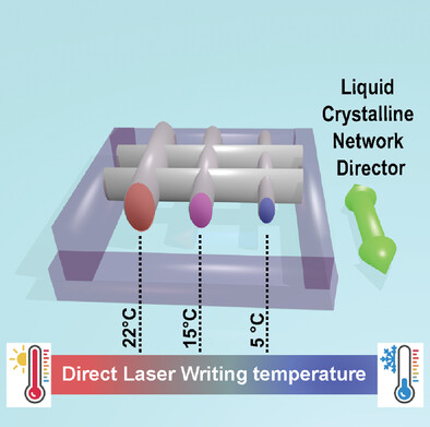 Two-Photon Laser Writing of Soft Responsive Polymers via Temperature-Controlled Polymerization