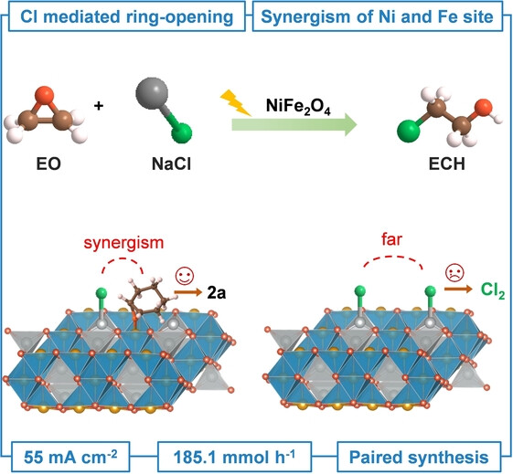 Preferential Adsorption of Ethylene Oxide on Fe and Chlorine on Ni Enabled Scalable Electrosynthesis of Ethylene Chlorohydrin