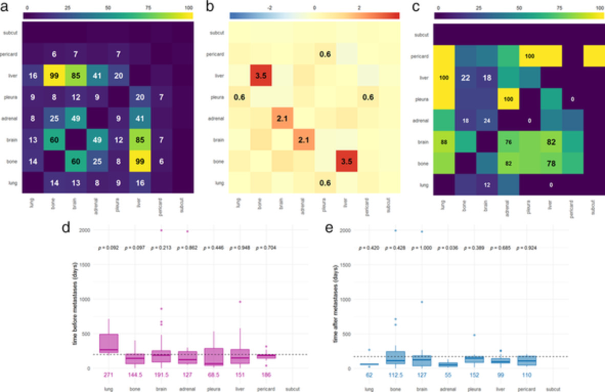 The landscape of small cell lung cancer metastases: Organ specificity and timing