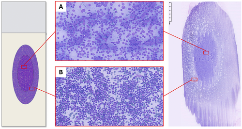 Details are in the caption following the image Details are in the caption following the image