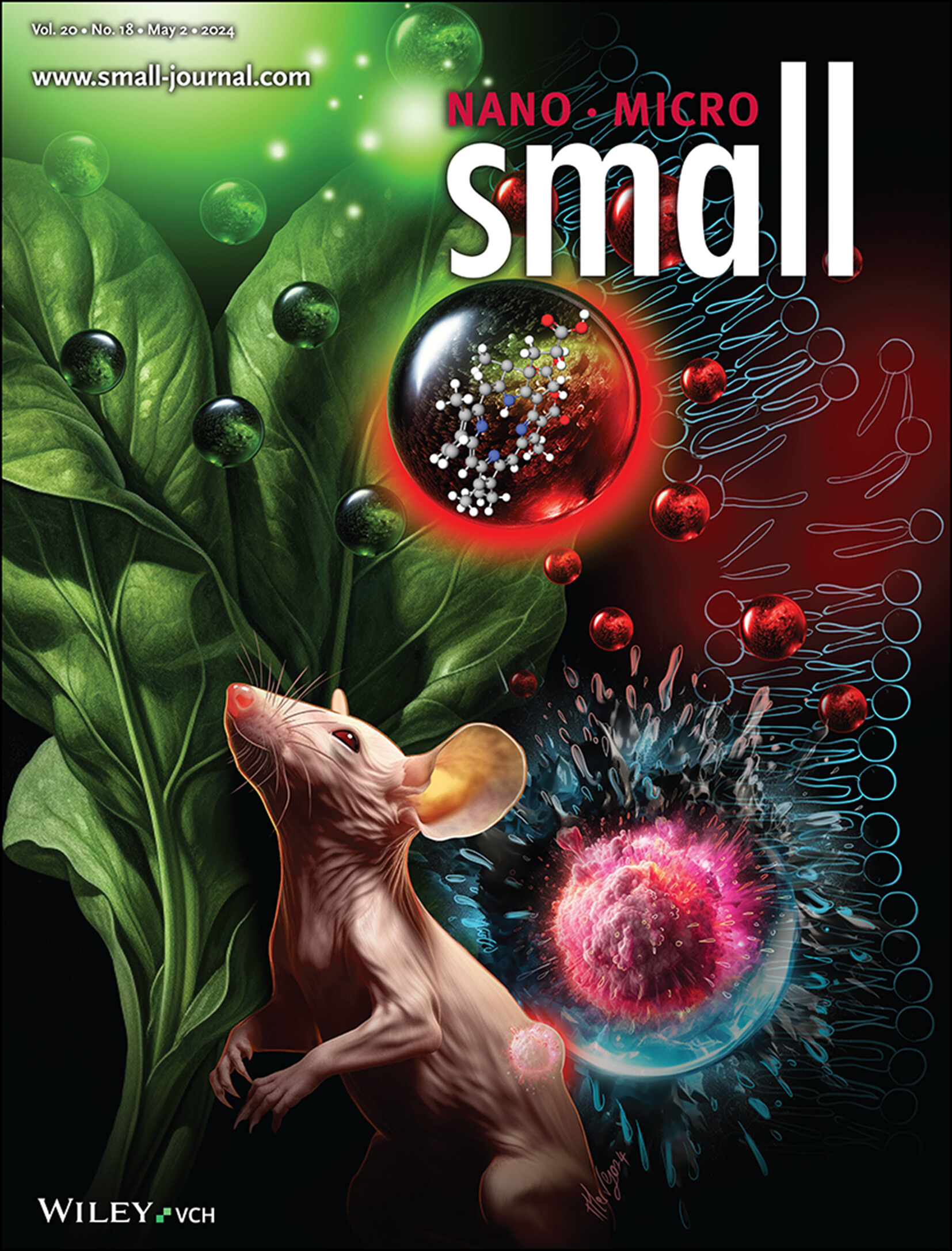 Small Warriors of Nature: Novel Red Emissive Chlorophyllin Carbon Dots Harnessing Fenton-Fueled Ferroptosis for In Vitro and In Vivo Cancer Treatment (Small 18/2024) Volume 20 Issue 18, 2024