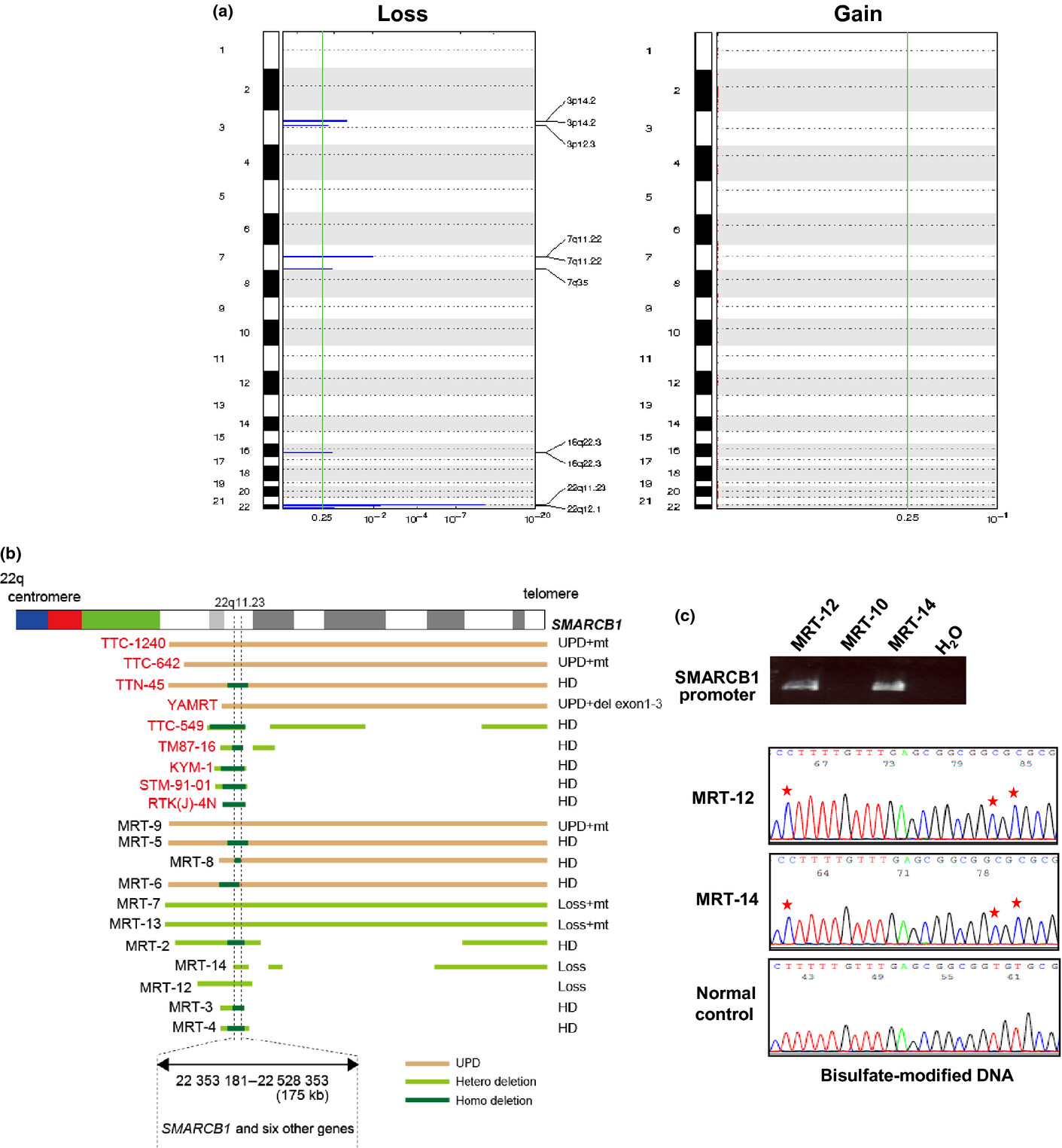 Genome-wide approach to identify second gene targets for malignant rhabdoid tumors using high-density oligonucleotide microarrays